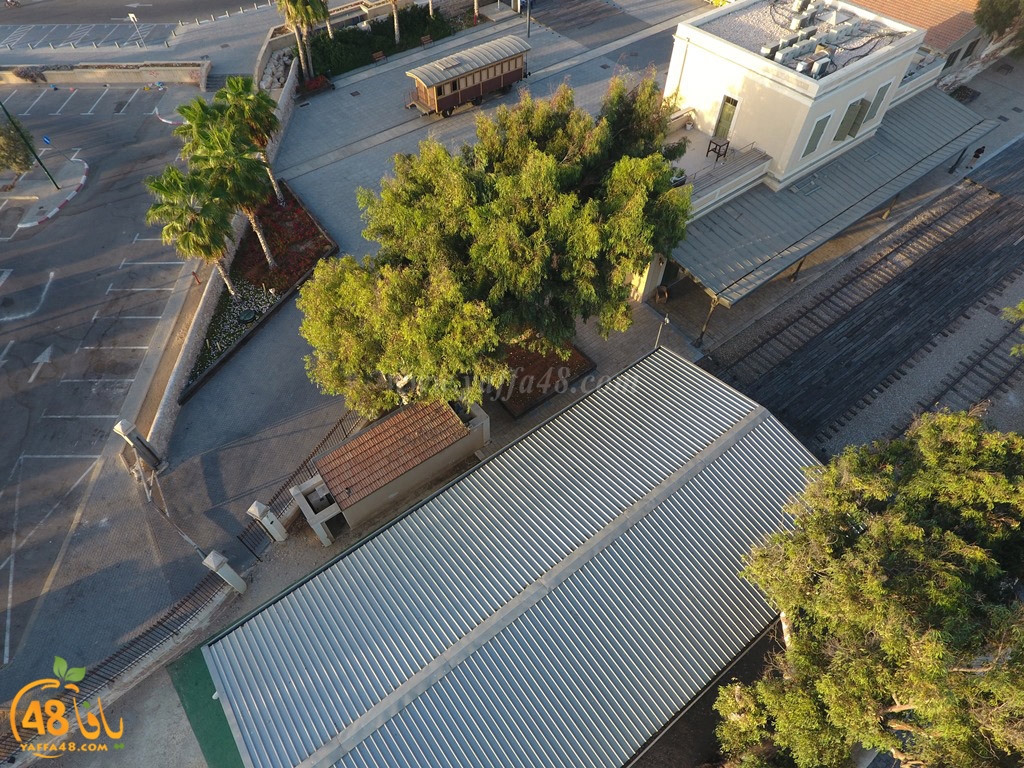 yaffa train  (14).jpg.jpg